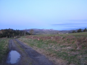 le luguet été